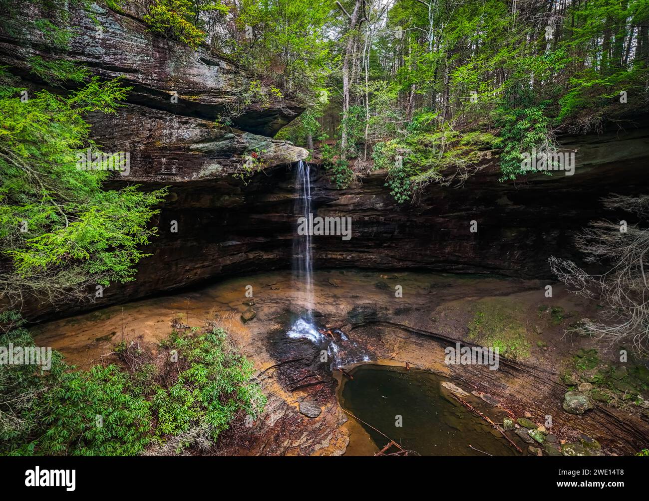 Am Sommermorgen bietet der Wanderpark eine malerische Aussicht auf die Northrup Falls Stockfoto