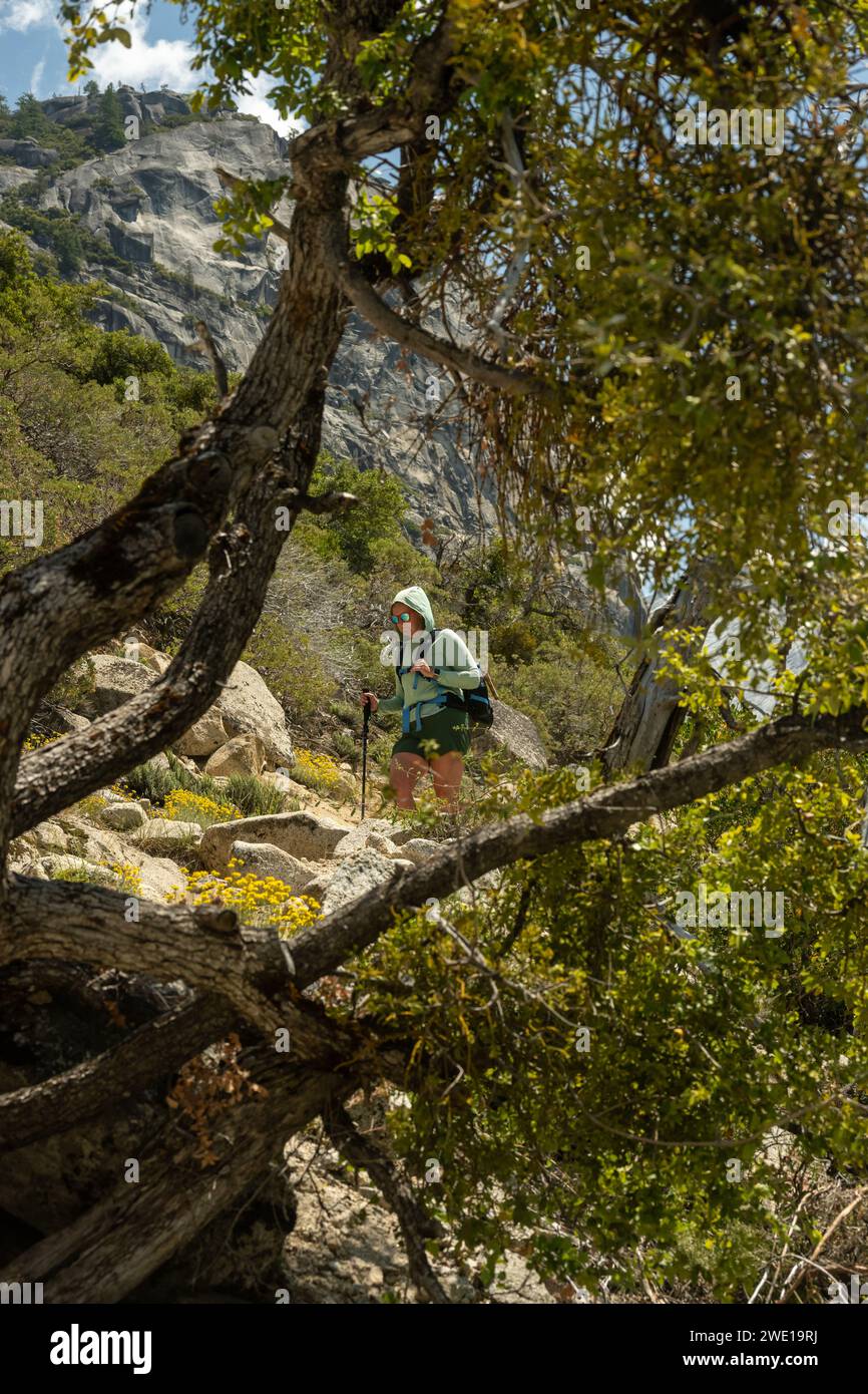 Wanderer in Baumstämmen auf dem Snow Creek Trail in Yosemite Stockfoto