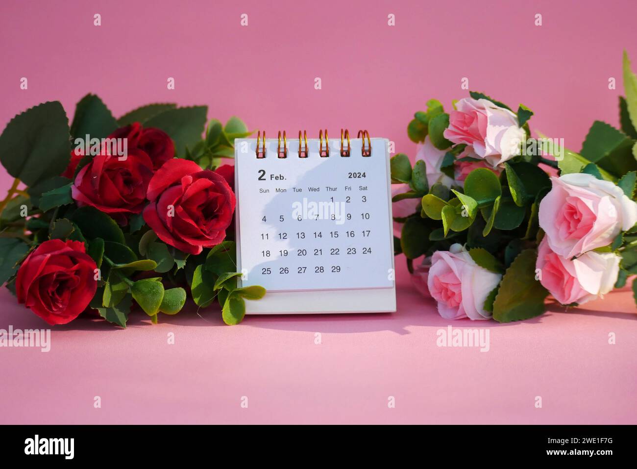Schreibtischkalender für Februar 2024 auf rosafarbenem Hintergrund mit Rosen. Stockfoto