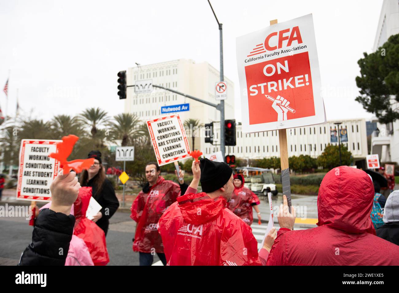 Fullerton, Kalifornien, USA - 22. Januar 2024: Mitglieder der California Faculty Association streiken am ersten Tag eines C auf dem Campus von Cal State Fullerton Stockfoto