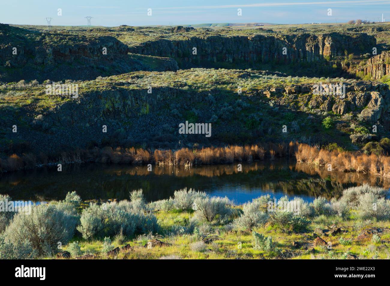 Teich entlang der alten Lake Trail, Quincy Seen - Wüste Basin Wildlife, Washington Stockfoto