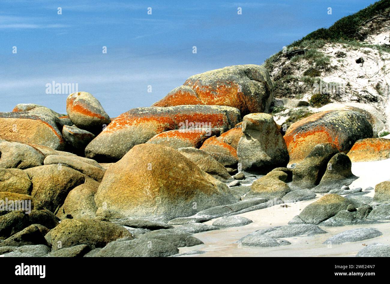 Felsen und Steinformationen an der Küste, bedeckt mit Flechten, Tasmanien, Australien Stockfoto