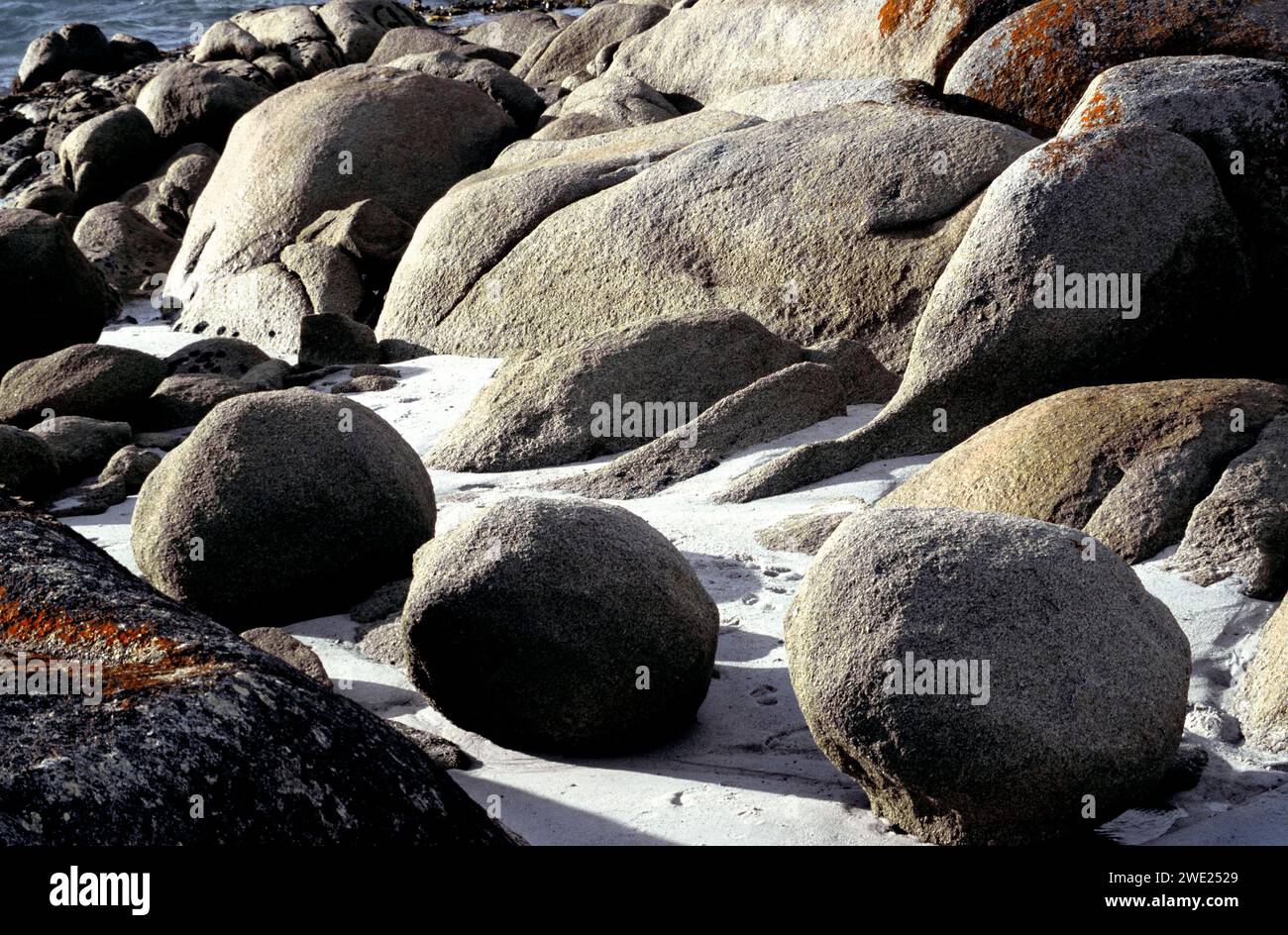 Felsen und Steinformationen an der Küste, bedeckt mit Flechten, Tasmanien, Australien Stockfoto