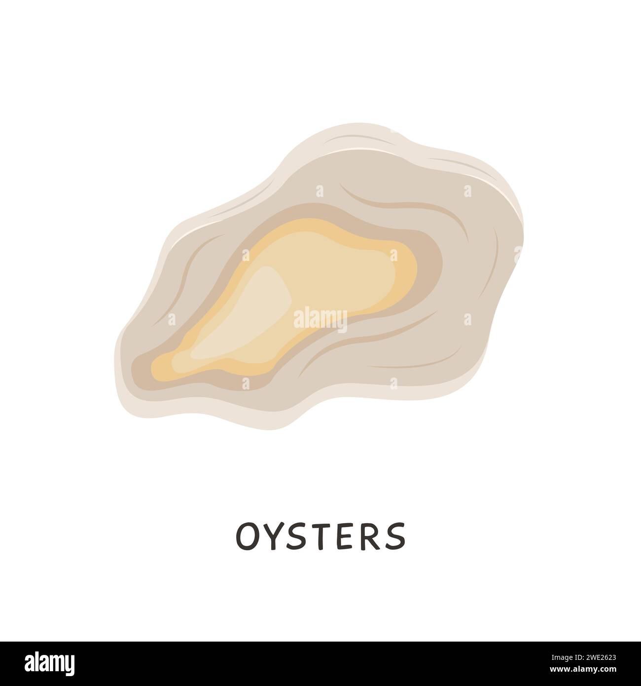 Austern. Vektor frische Austernschale isoliert auf weißem Hintergrund. Gekochte Köstlichkeiten, mediterrane Köstlichkeiten, Meeresfrüchte. Muscheln im flachen Cartoon-Stil Stock Vektor