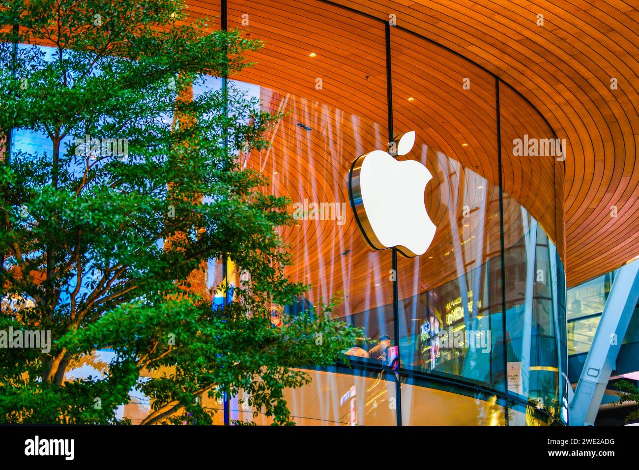 BANGKOK, THAILAND - 12. November 2022: Das Symbol des Apple-Logos für das Neonschild im Apple Store Central World Stockfoto