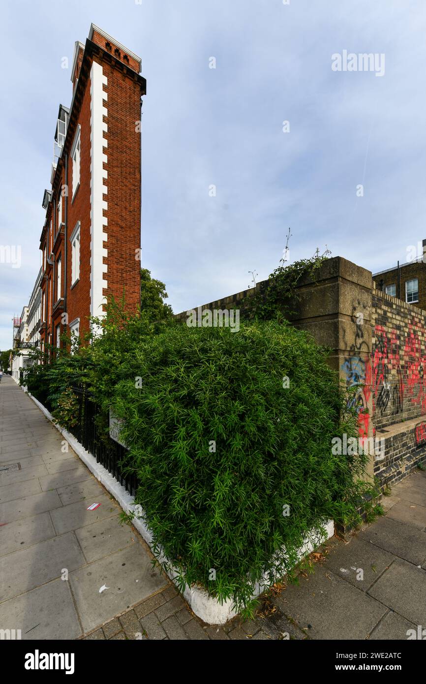 The Thin House in South Kensington, London, Großbritannien. In seiner dünnsten Breite ist das Gebäude nur etwa einen Meter mehr. Stockfoto