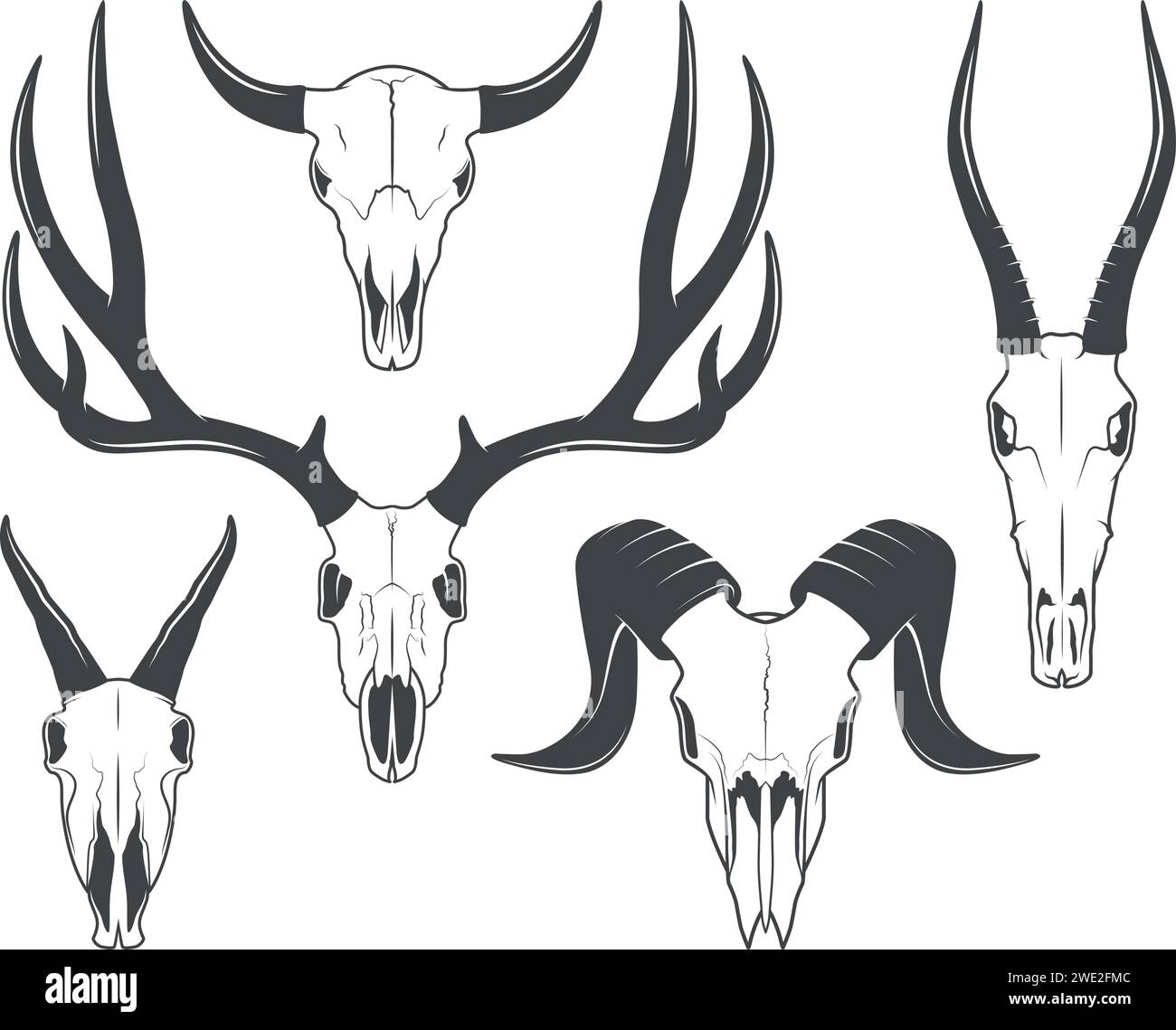 Set von wilden Tieren Schädel mit Hörnern Illustrationen, monochrome Vektorzeichnungen. Stock Vektor