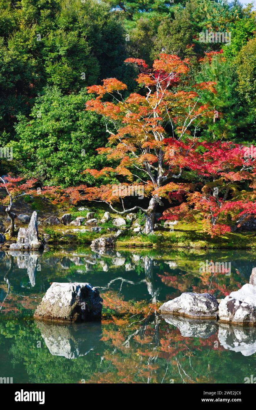 Herbst in Kyoto. Stockfoto