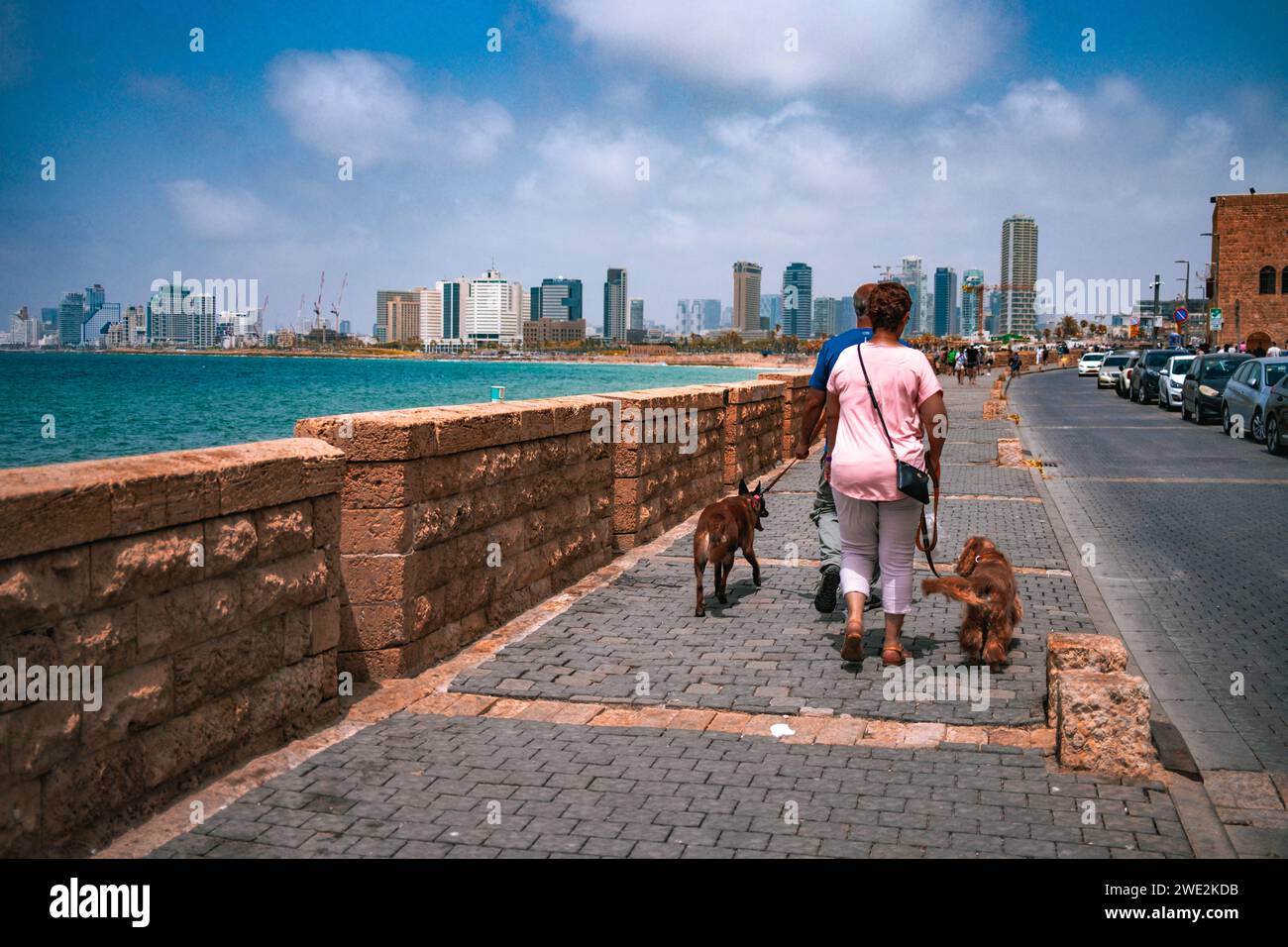 Eine Person genießt einen gemütlichen Spaziergang mit ihren Hunden entlang der malerischen Tel Aviv-Jaffa Promenade mit Blick auf das pulsierende Mittelmeer und den Skylin der Stadt Stockfoto