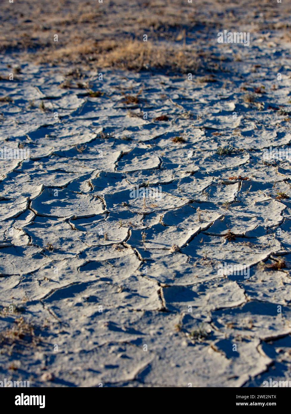 Trona, Kalifornien, USA. Januar 2024. Der Searles Lake ist ein endorheischer Trockensee im Searles Valley der Mojave-Wüste im Nordwesten des San Bernardino County, Kalifornien. Quelle: Katrina Kochneva/ZUMA Wire/Alamy Live News Stockfoto