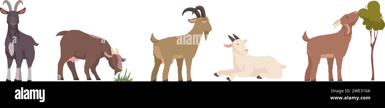 Zuchtziegen. Haustier in Aktion stellt exakte Vektorziegen mit Hörnern und lustigen Charakteren aus Wolle Stock Vektor