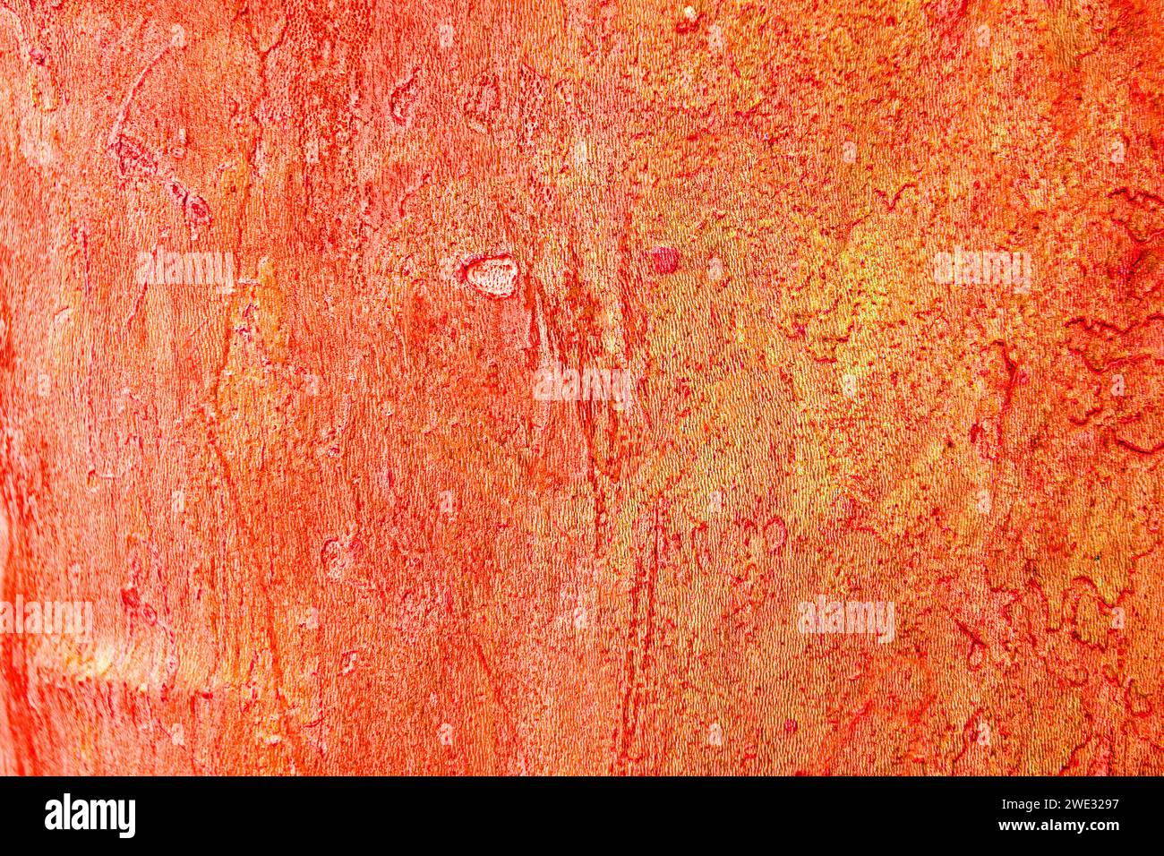 Abstrakter pfirsichfarbener Hintergrund aus natürlichem Holz Stockfoto