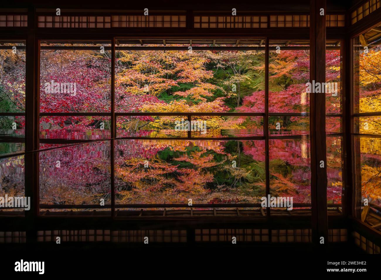 Herbstsaison in Kyoto, Japan, umgeben lebhafte Herbstfarben den buddhistischen Tempel Ruriko-in der ehemaligen japanischen Hauptstadt. Stockfoto