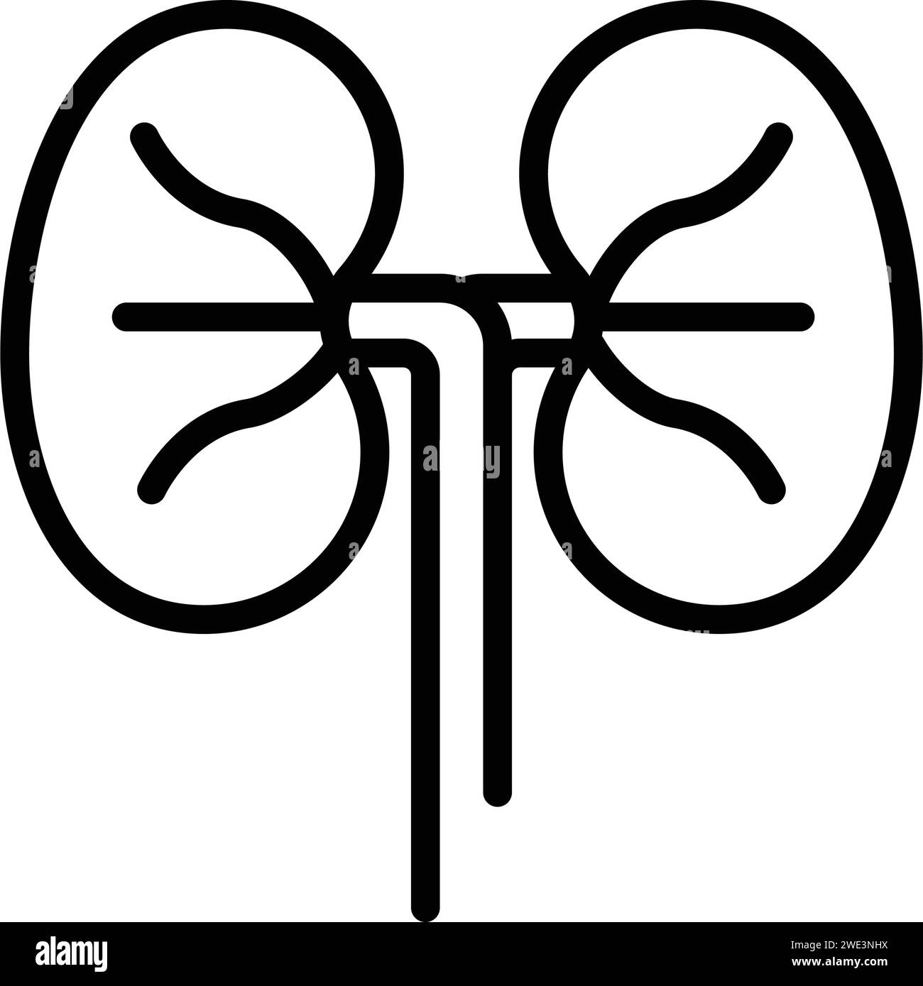 Symbol für Nieren, Urologie, Anatomie Stock Vektor