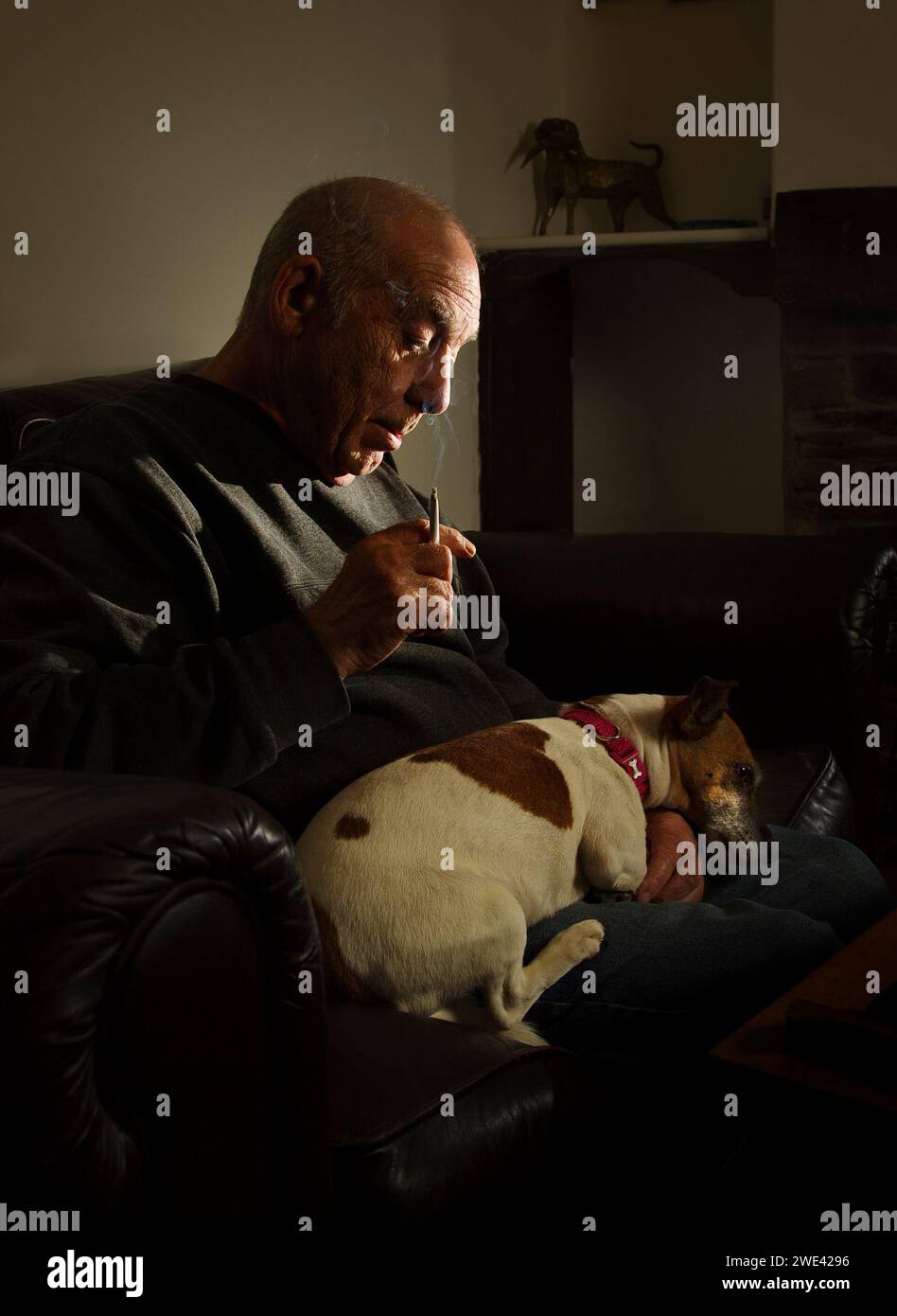 Der alte Mann allein mit seinem Hund Stockfoto