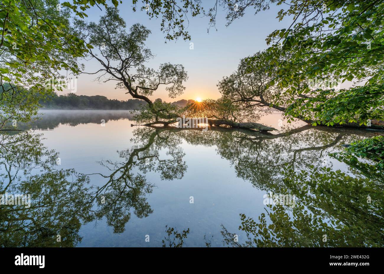 Ein ruhiger See mit grünen Bäumen, beleuchtet von der Morgensonne Stockfoto
