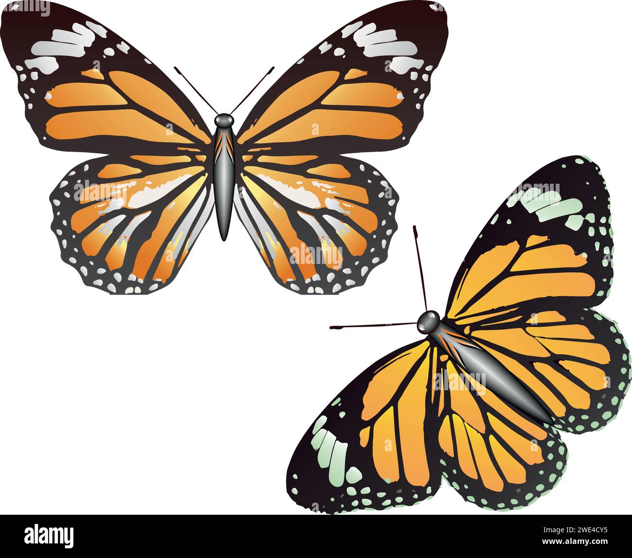 Satz von bunten Schmetterlingen auf weißem Hintergrund Illustration Stock Vektor