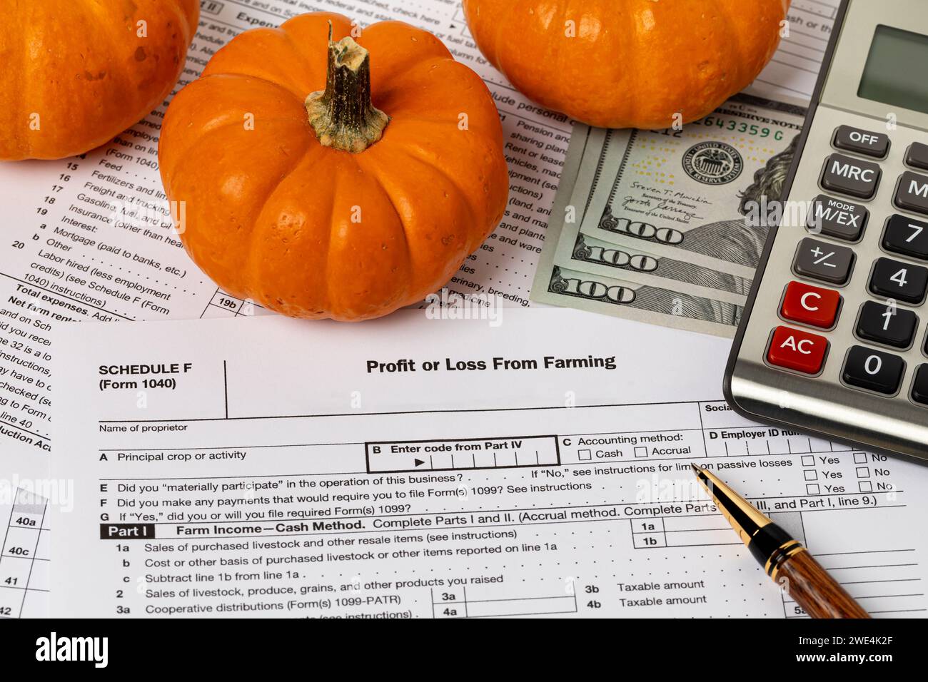 Kürbisse und landwirtschaftliche Gewinn- oder Verluststeuerformular mit Rechner. Einkommen, Finanzen und Managementkonzept der Obst- und Gemüsebetriebe. Stockfoto