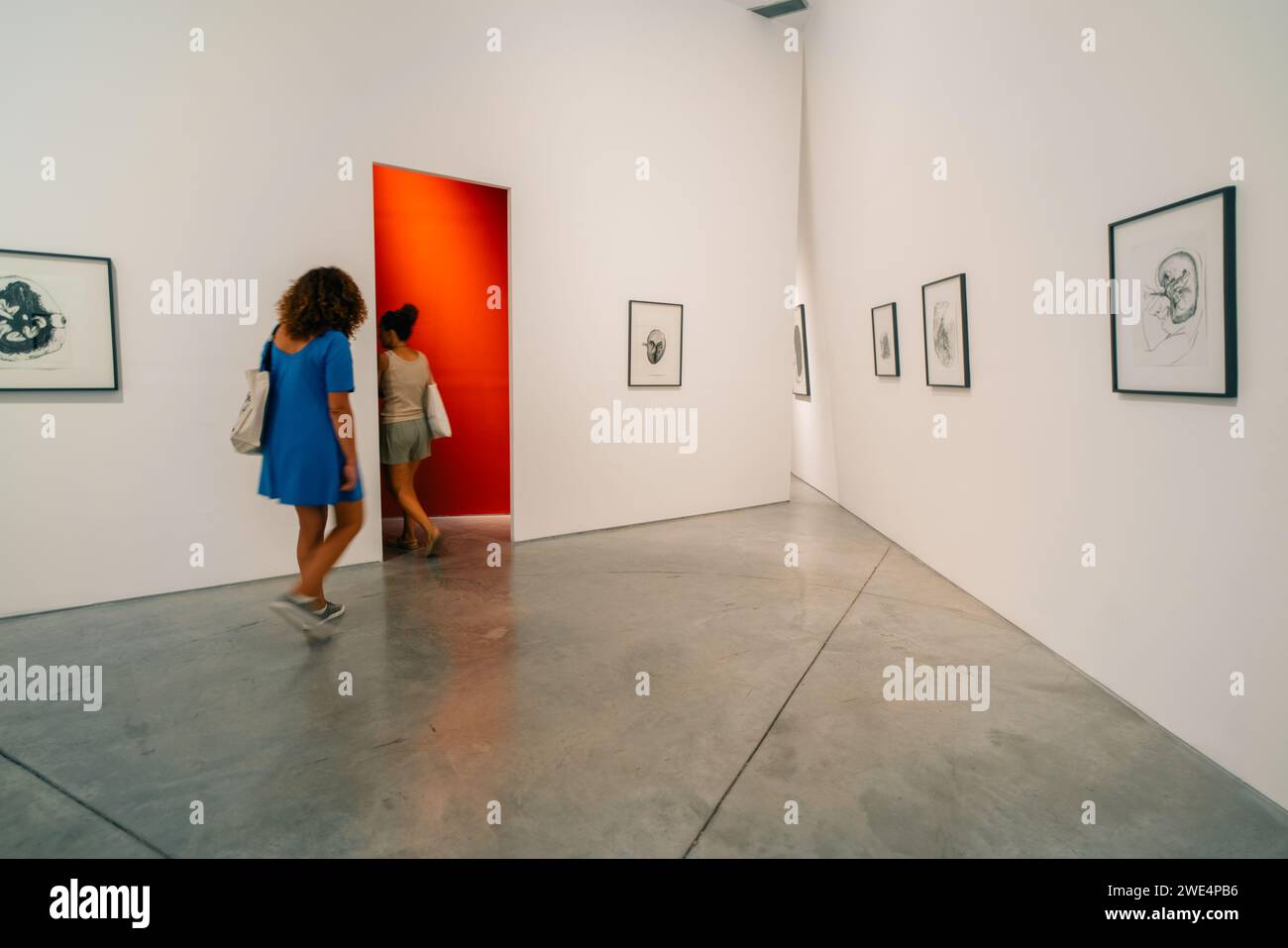 Buenos Aires, Argentinien - 2. dezember 2023 Ausstellungen im Buenos Aires Museum für Moderne Kunst. Hochwertige Fotos Stockfoto