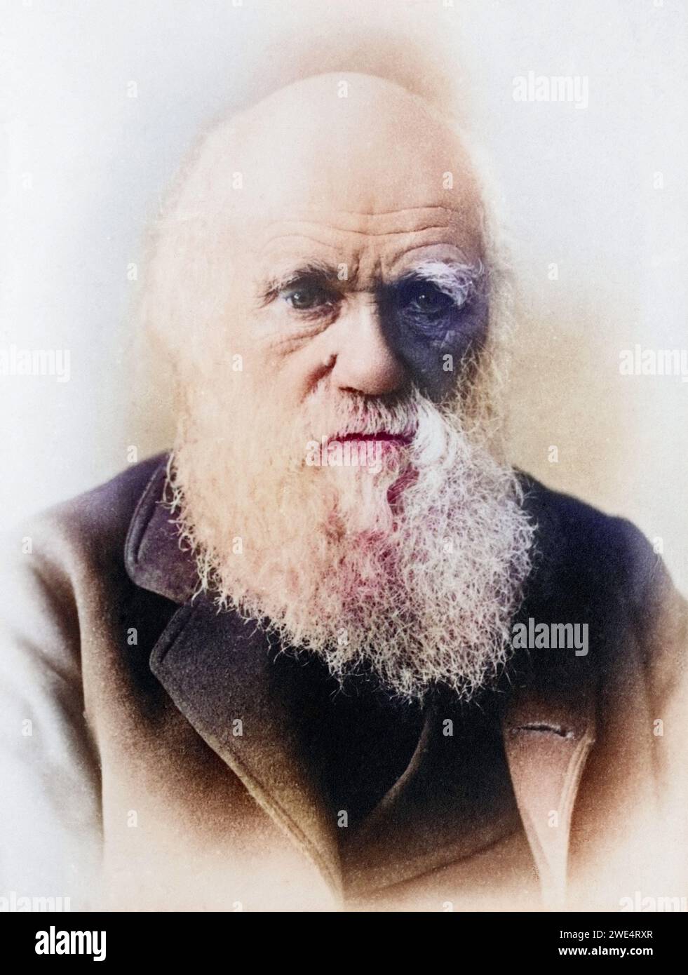 Charles Darwin 1809 1882 englischer Naturfoscher, Historisch, digital restaurierte Reproduktion von einer Vorlage aus dem 19. Jahrhundert, Datum nicht angegeben Stockfoto