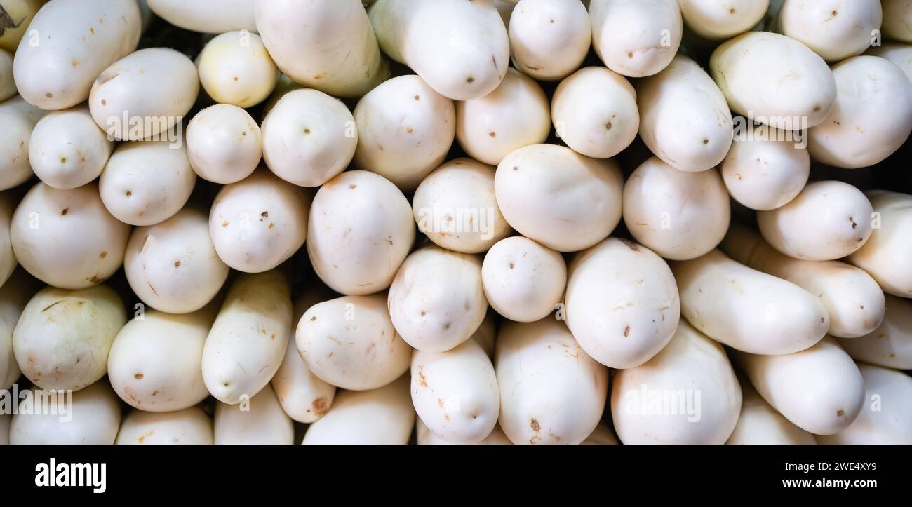 Natürliche Weißeipflanze zum Verkauf im Laden. Japanische Eipflanze. Bio-Pflanzennahrung. Gesunde Alternative. Stockfoto