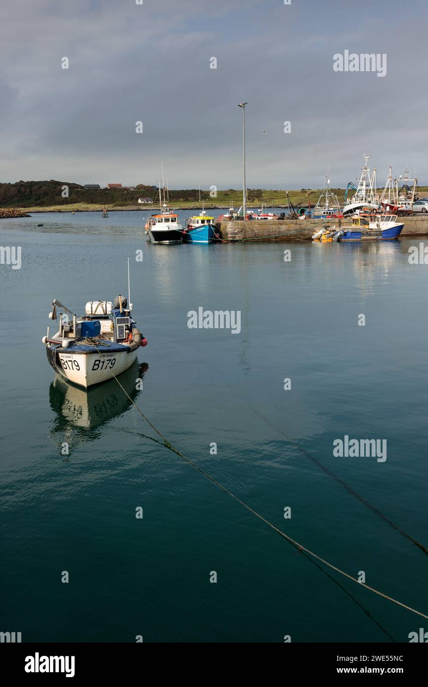 Ardglass Harbour, County Down, Nordirland Stockfoto