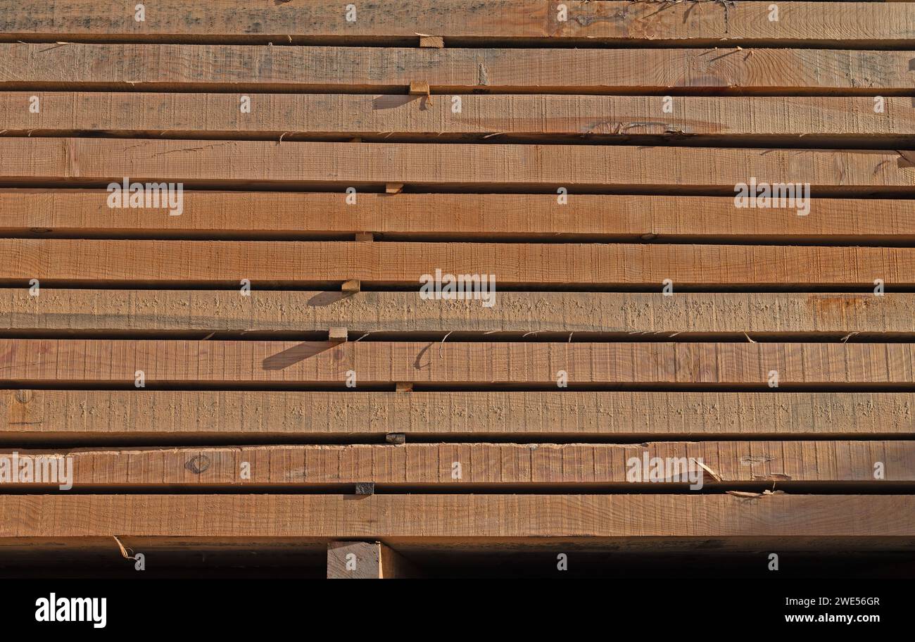 Behandeltes Holz in Blöcken verpackt. Holz im Sägewerk. Gestapelte Holzbretter. Stockfoto