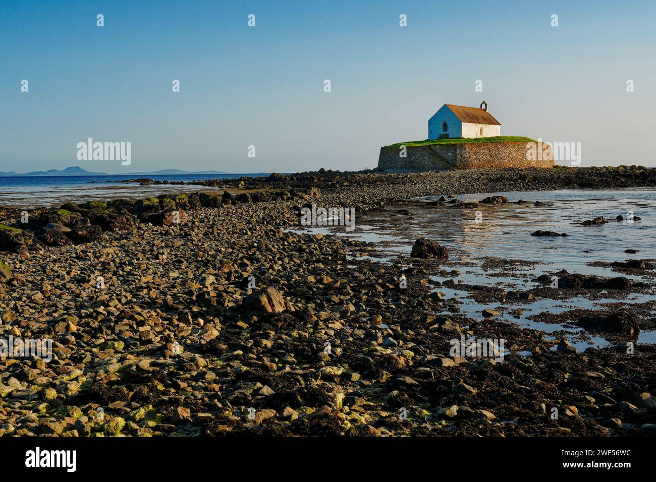 Eglwys Cwyfan ist eine denkmalgeschützte mittelalterliche Kirche in Llangadwaladr. Es liegt auf der kleinen Gezeiteninsel Cribinau Stockfoto