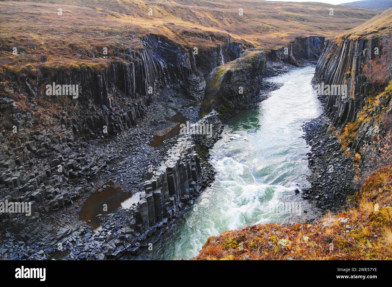 Basalt Rock Columns und Glacial River am Studlagil Canyon, Jokuldalur, East Iceland Stockfoto