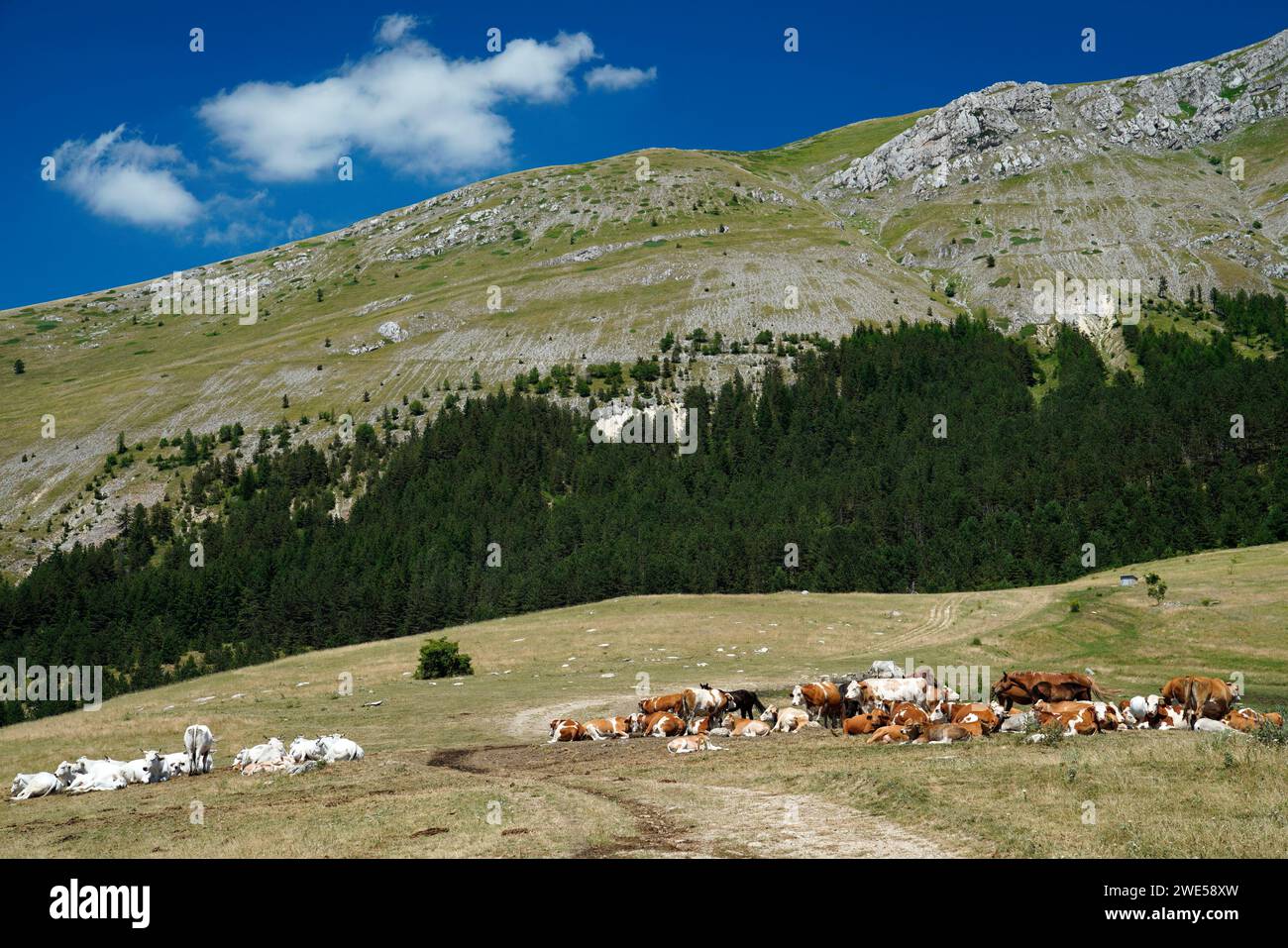 Gran Sasso und Monti della Laga Nationalpark, Region Abruzzen, Italien Stockfoto