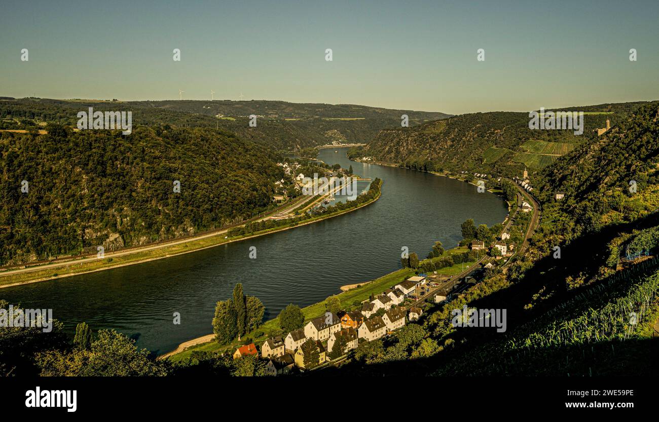 Rheinschleife in der Nähe von St. Goarshausen, im Hintergrund Burg Maus, Oberes Mittelrheintal, Rheinland-Pfalz, Deutschland Stockfoto