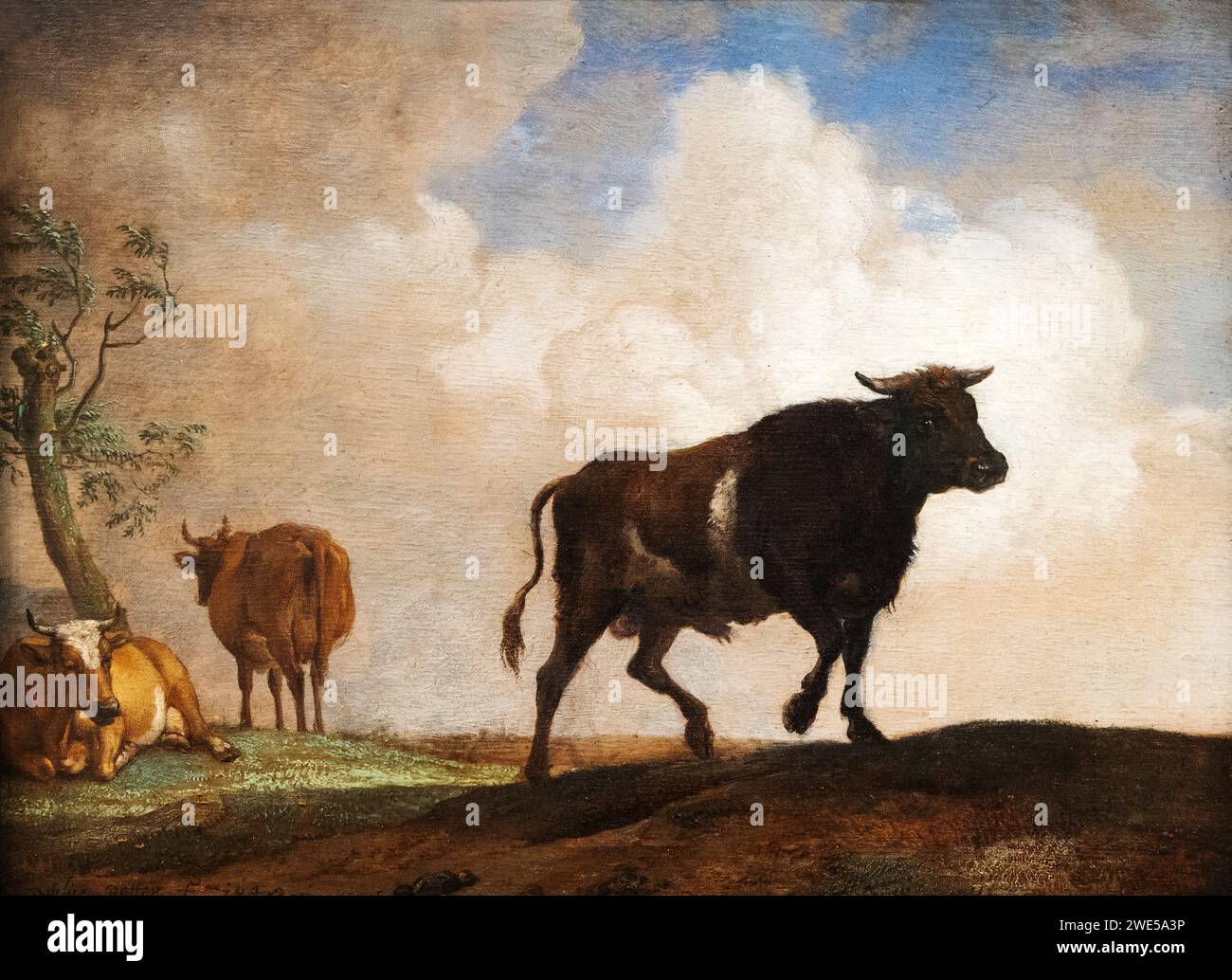 Paulus Potter Gemälde, der Stier, 1649. Niederländischer Tier- und Rindermaler aus dem 17. Jahrhundert, 1625-1654. Tiermalereien aus den 1600er Jahren Stockfoto
