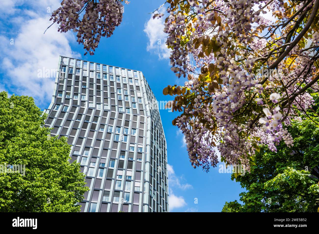 Tanztürme, Hochhaus, Reeperbahn, St.. Pauli, Hamburg, Deutschland Stockfoto