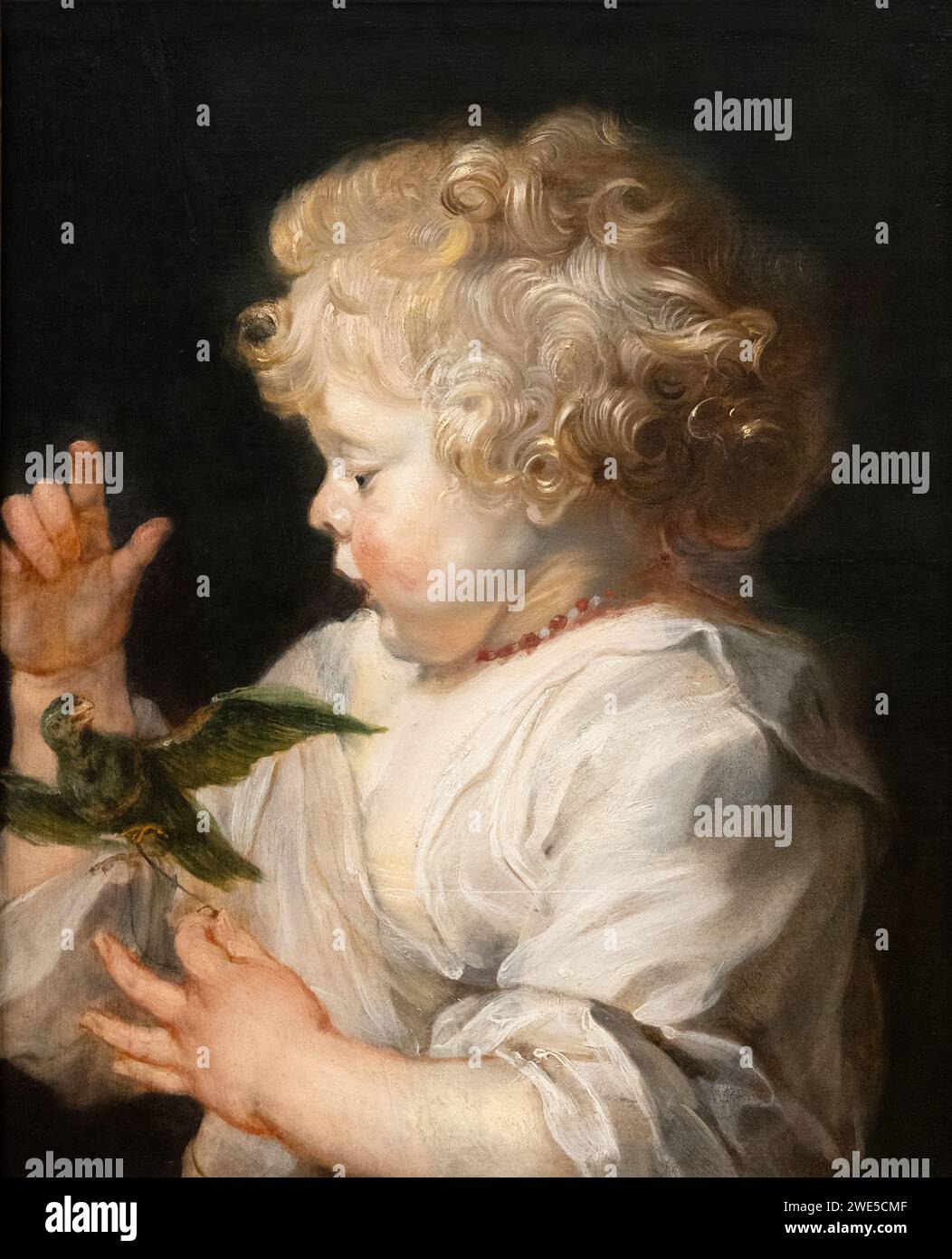 Peter Paul Rubens Gemälde 'das Kind mit dem Vogel' um 1614 und nach 1625. Eines der wenigen Gemälde, das Rubens von Kindern machte. Barockmalerei der 1600er Jahre. Stockfoto