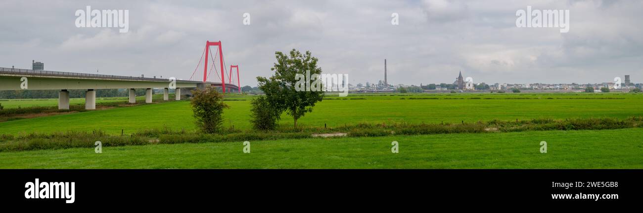 Deutschlands 39 längste Hängebrücke (803 m) überquert den Rhein bei Emmerich in Nordrhein-Westfalen Stockfoto