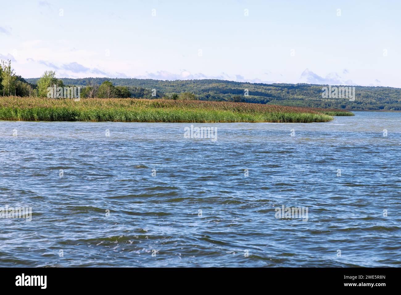 Frische Lagune (Zalew Wiślany) bei Frombork (Frauenburg) in der Woiwodschaft Warmińsko-Mazurskie in Polen Stockfoto