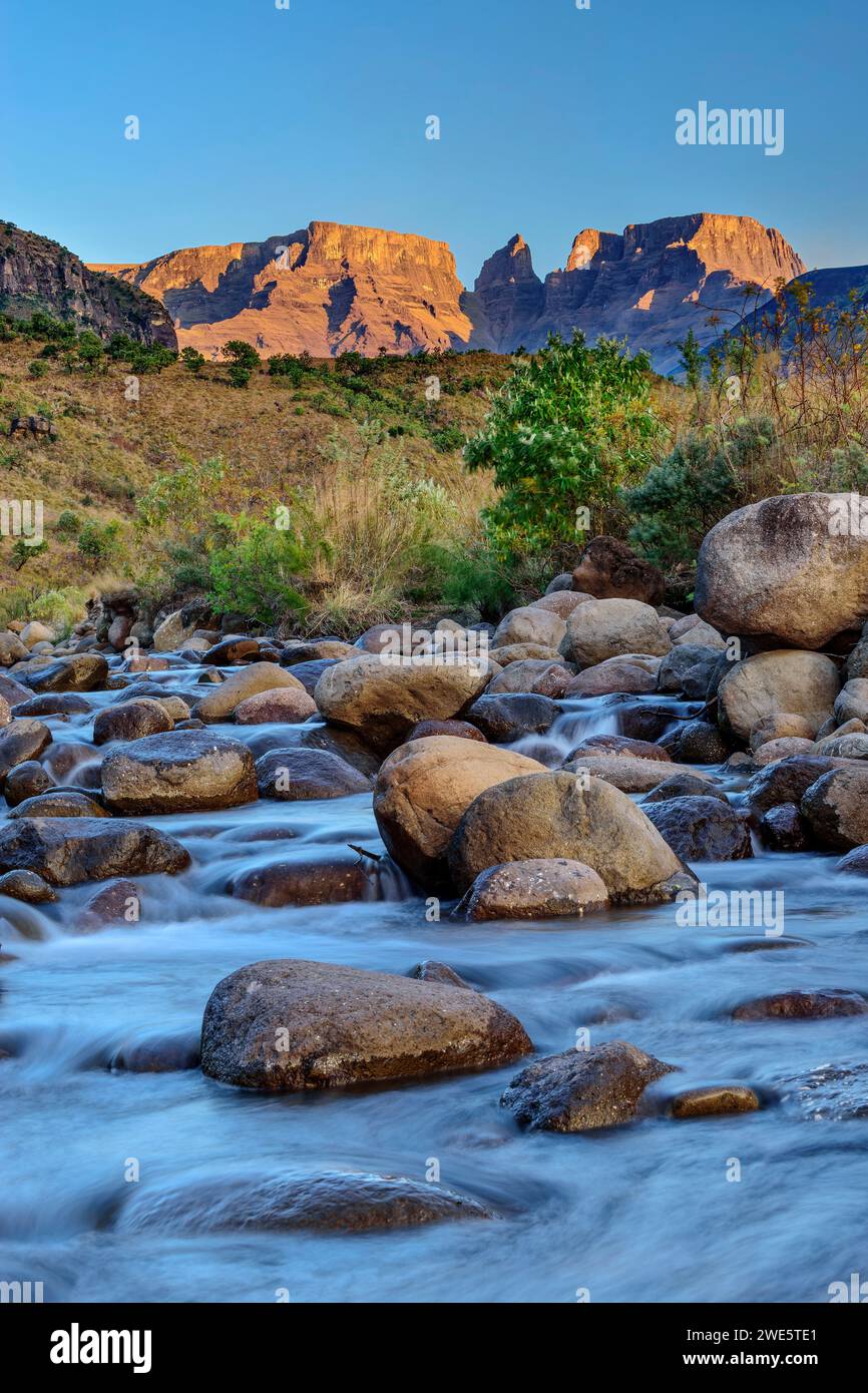 Little Tugela River mit Champagnerschloss und Cathkin Peak im ersten Licht, Injasuthi, Drakensberg, Kwa Zulu Natal, UNESCO-Weltkulturerbe Maloti-D Stockfoto