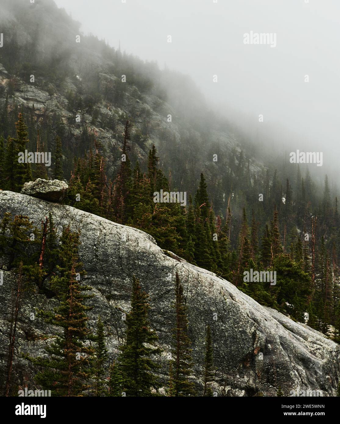 Landschaft des Rocky Mountain National Park, Colorado Stockfoto