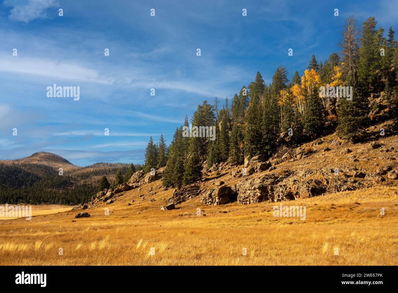 Die wiederauflebende Lavakuppel Cerro de la Jara in der Nähe des Valles Caldera National Preserve Visitor Center, Santa Fe National Forest, New Mexico. Stockfoto