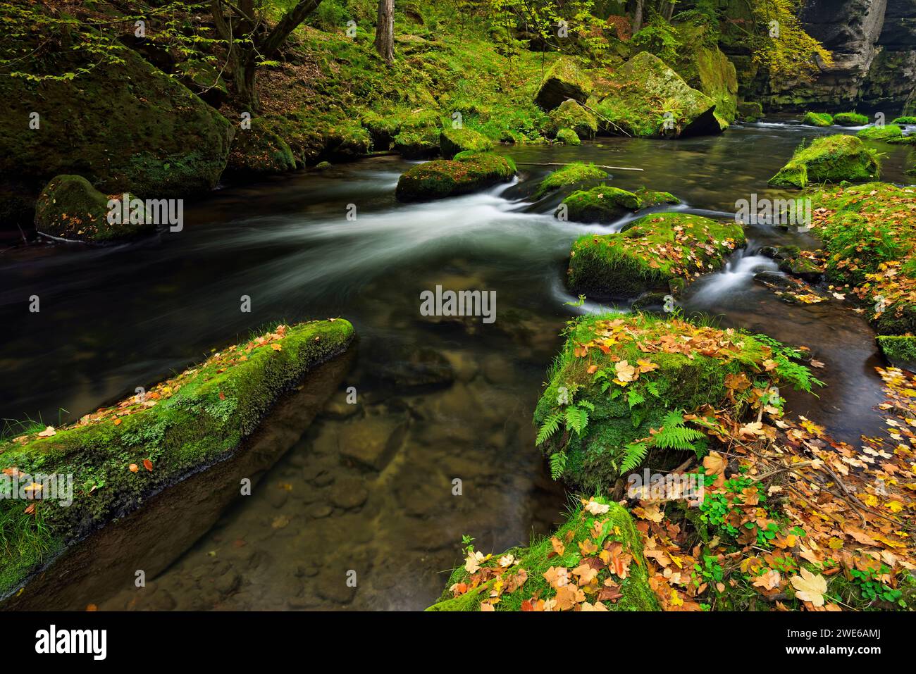 Lange Exposition des Flusses Kamenice, der zwischen moosbedeckten Felsen fließt Stockfoto