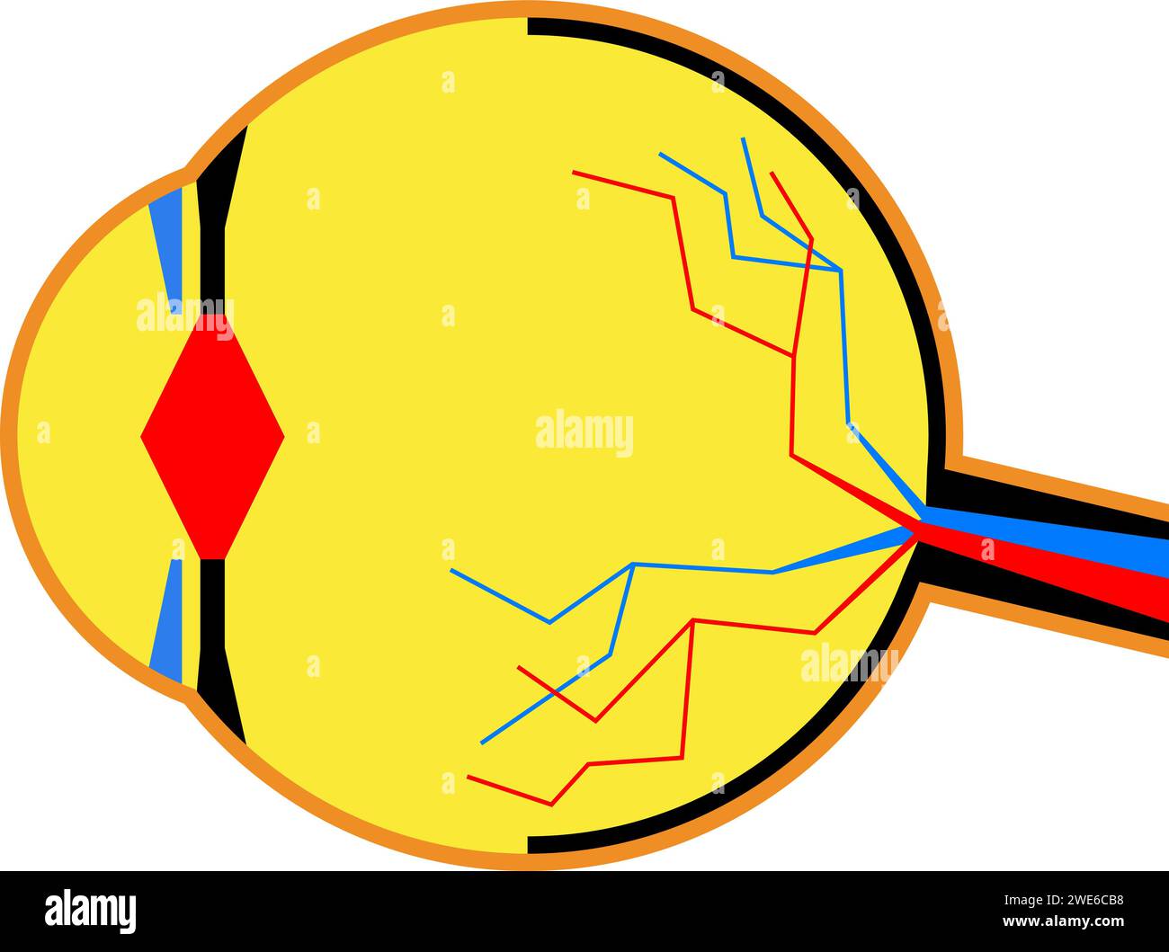 Das Konzept der menschlichen Augenanatomie im geometrischen Flickwerk-Stil. Grafische Zusammensetzung für Werbung, Banner, Verpackungsdesign. Stock Vektor