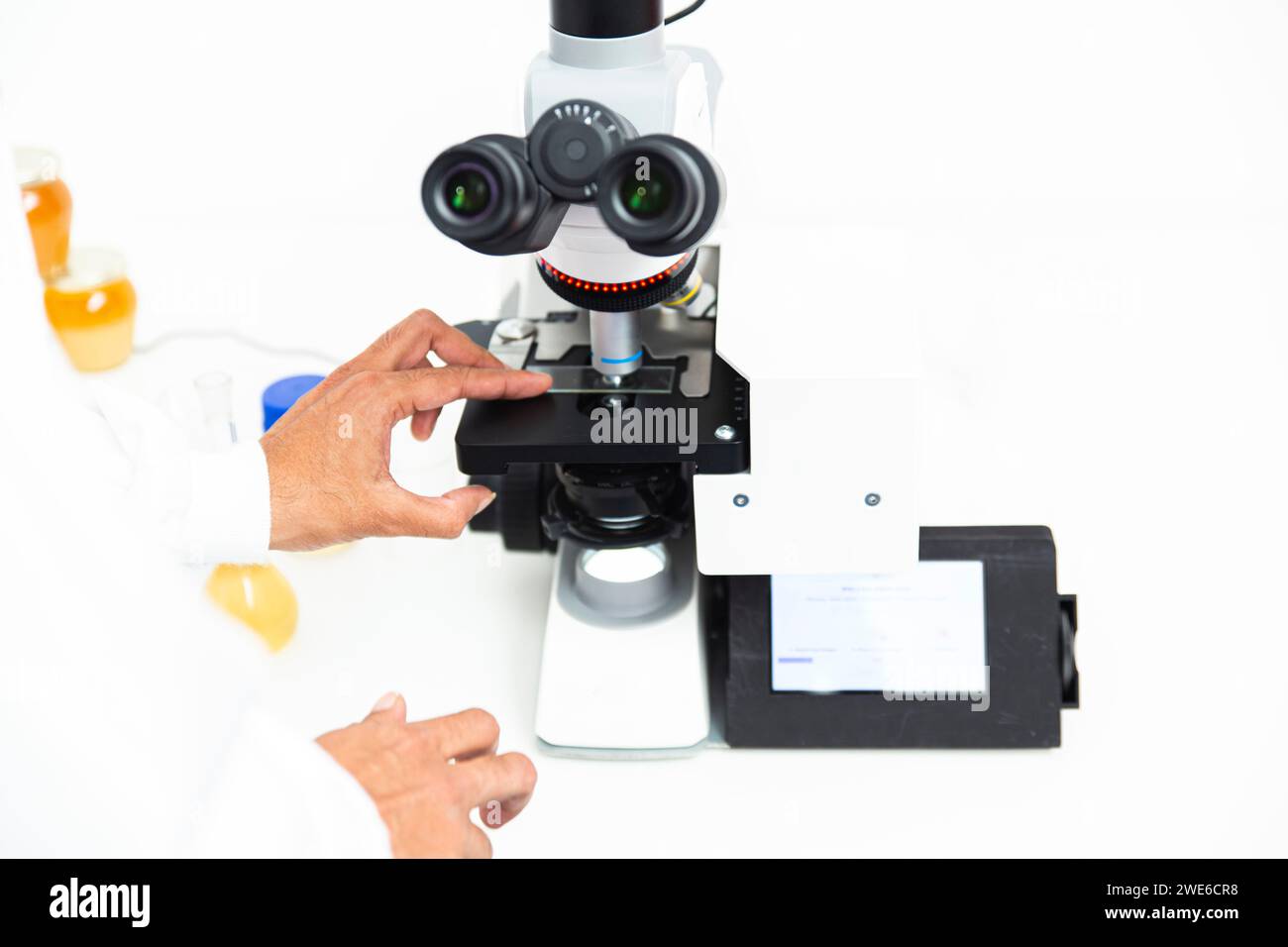 Wissenschaftler, die Proben im Labor in das Mikroskop einbringen Stockfoto