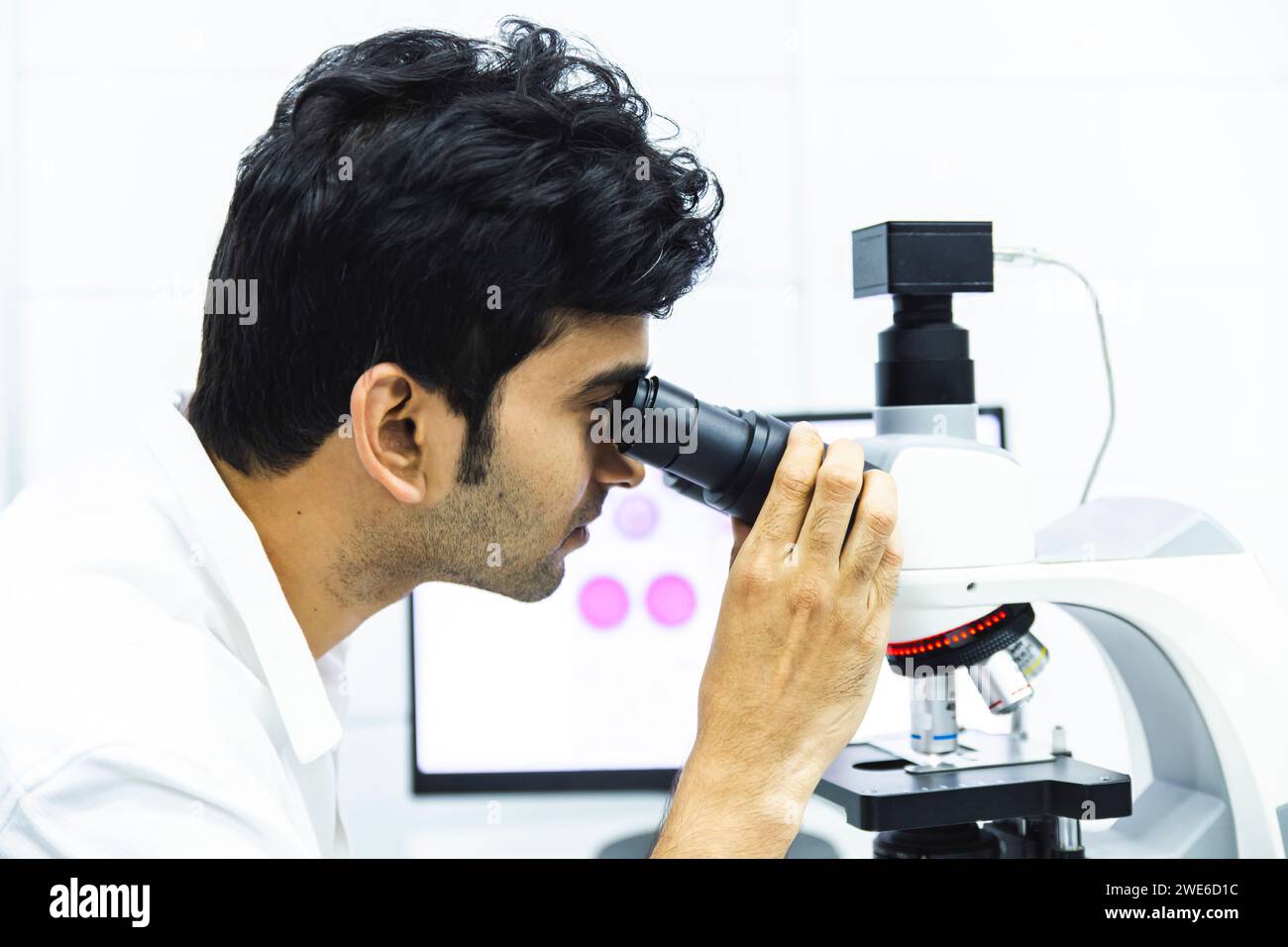 Mikrobiologe am Mikroskop im Labor Stockfoto
