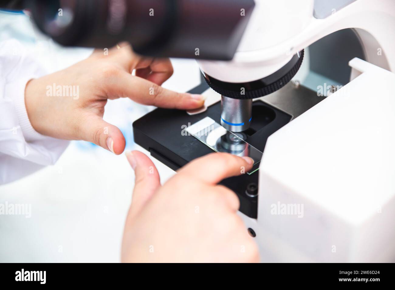 Hände des Mikrobiologen, der die Probe im Mikroskop positioniert Stockfoto