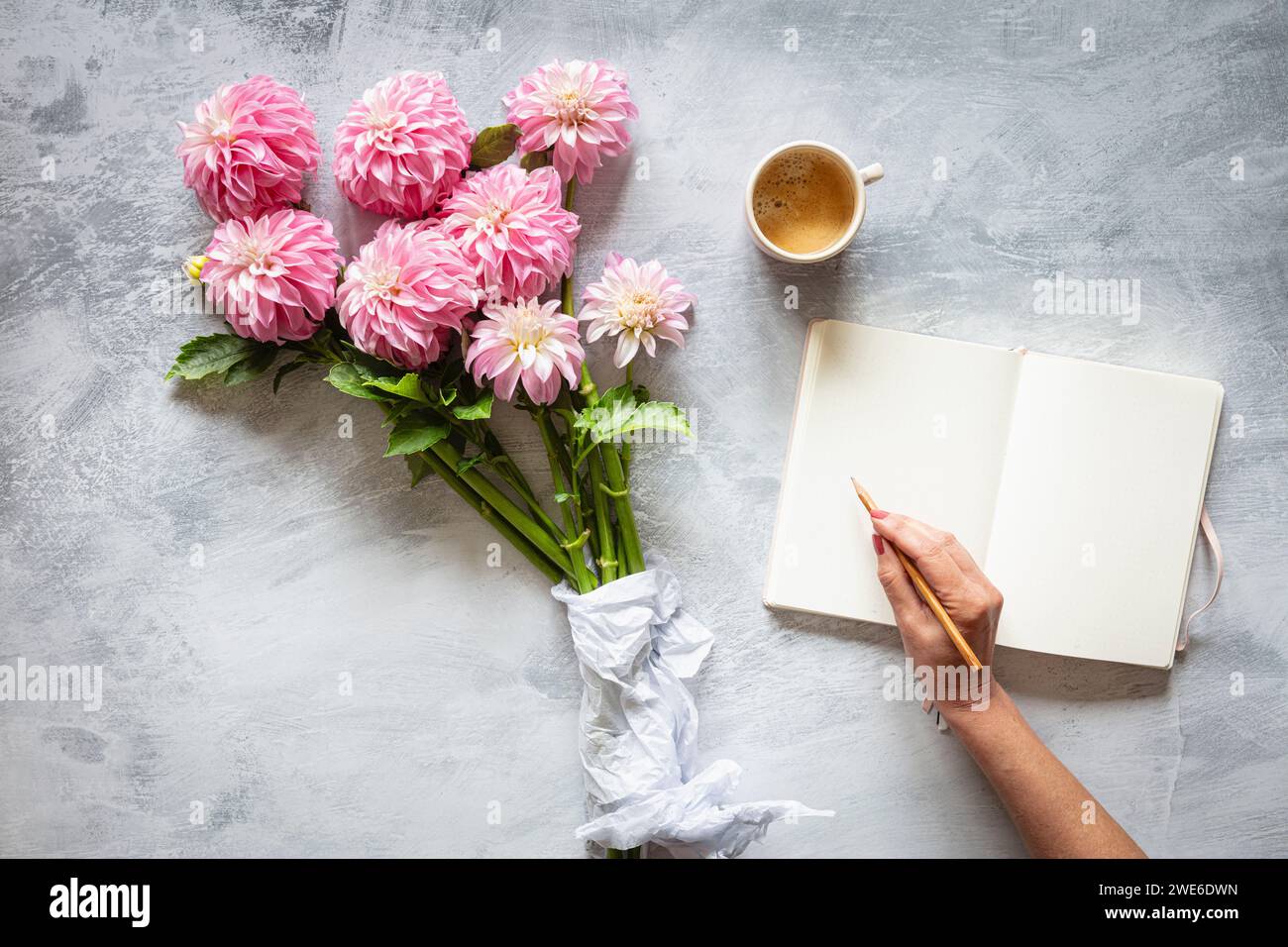 Hand einer Frau, die in Tagebuch vor dem Blumenstrauß rosa blühender 'Verones DF' Dahlien schreibt Stockfoto