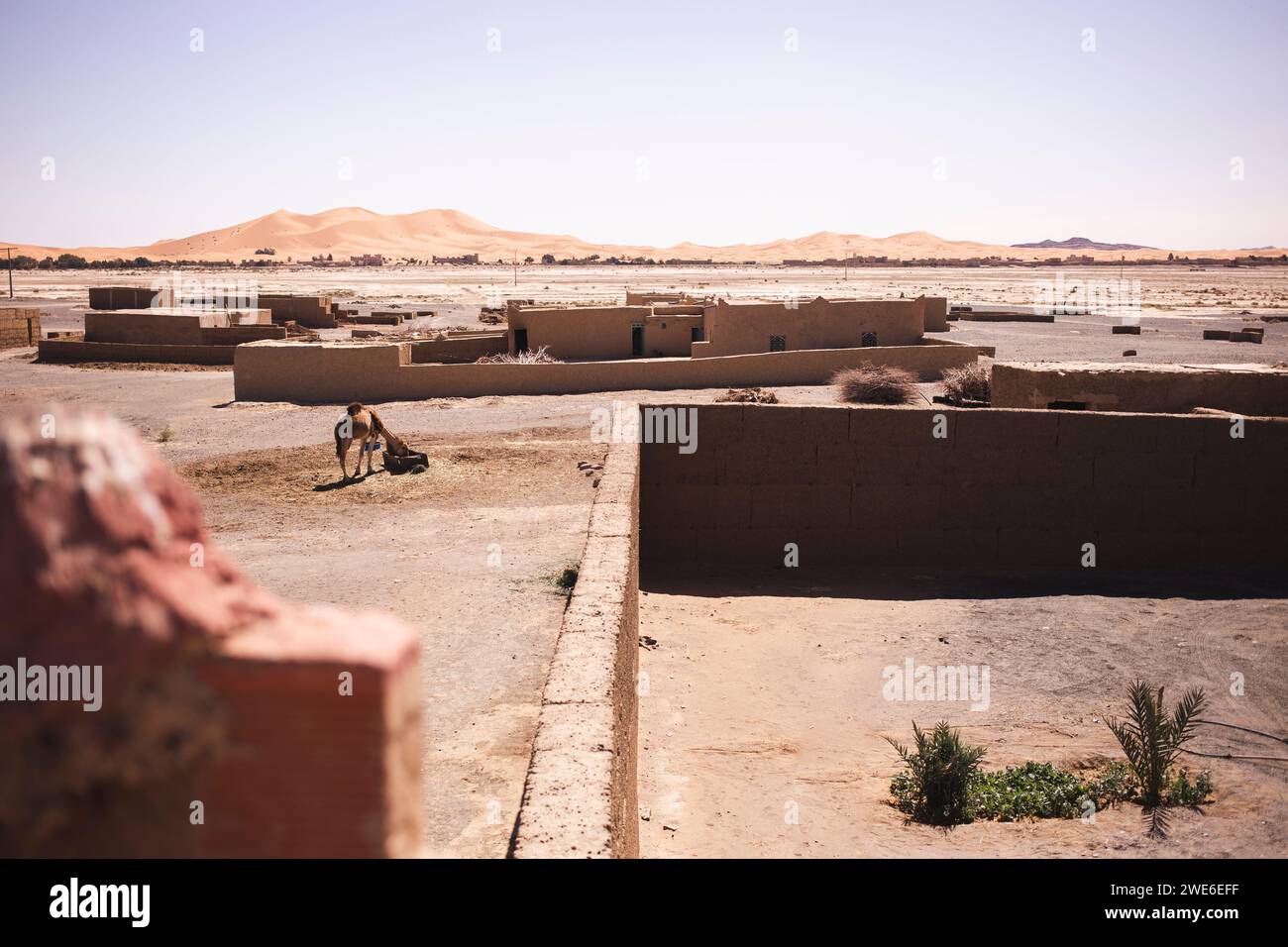 Wüstenlandschaft mit lehmhäusern in Merzouga, Marokko, Afrika Stockfoto
