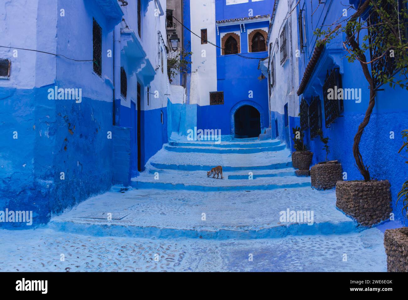 Blaue Gasse von Chefchaouen, Marokko, Afrika Stockfoto