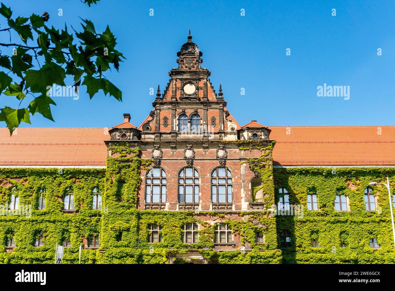 Polen, Woiwodschaft Niederschlesien, Breslau, bewachsene Fassade des Nationalmuseums Stockfoto