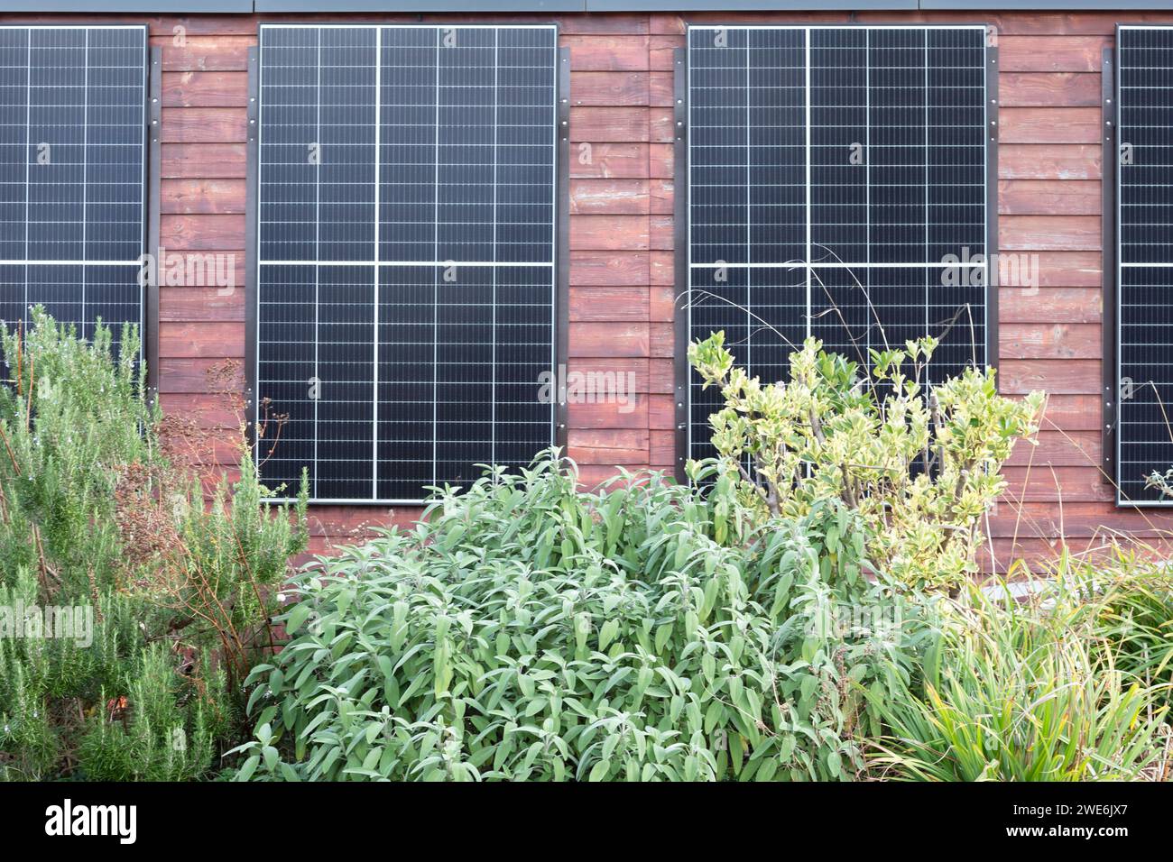Deutschland, Baden-Württemberg, Freiburg im Breisgau, Solarpaneele an Gebäudewand mit Büschen im Vordergrund Stockfoto