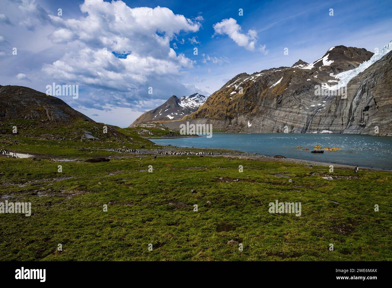 Besucher, Gold Harbor, SGI, Gletscher und Berge, Kajaks im Wasser Stockfoto